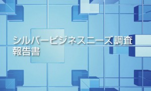 シルバービジネスニーズ調査報告書